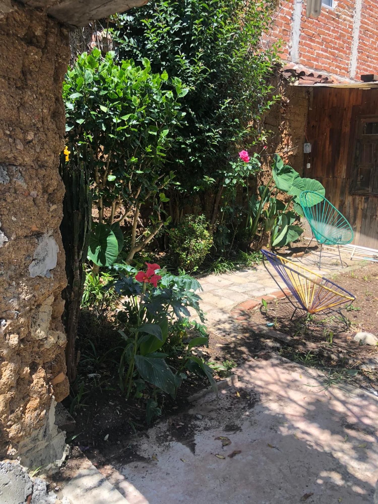 Hostal Casa Gaia San Cristóbal de Las Casas Esterno foto