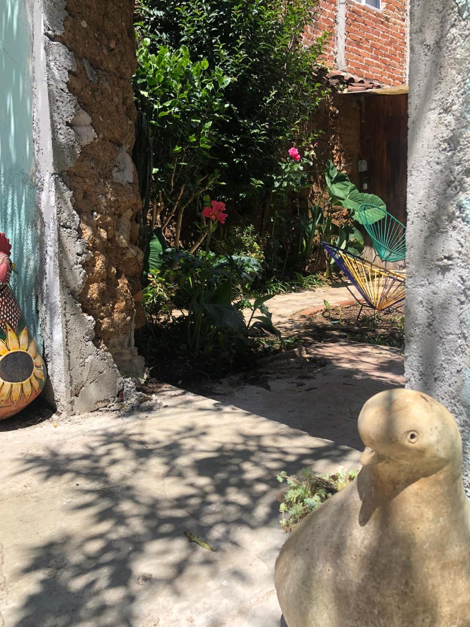 Hostal Casa Gaia San Cristóbal de Las Casas Esterno foto